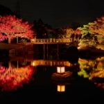 百舌鳥 大仙公園 百舌鳥站 紅葉の宴 大阪 夜間紅葉 大阪賞楓景點 大阪賞楓 景點 大阪紅葉景點 大阪紅葉 景點 大阪賞楓 大阪楓葉 大阪紅葉預測 大阪夜楓 大阪夜楓2019 大阪紅葉2019 大阪賞楓2019 大阪楓葉2019 大阪紅葉預測2019