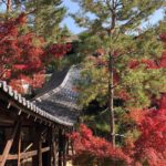 八阪神社 東山安井站 夜楓 圓山公園 高台寺紅葉 紅葉 高台寺 紅葉 京都紅葉2019 京都楓葉2019 京都紅葉景點2019 京都紅葉 景點2019 京都賞楓2019 京都賞楓 景點2019 京都賞楓景點2019 京都夜楓2019 京都夜楓景點2019 京都紅葉 京都楓葉 京都紅葉景點 京都紅葉 景點 京都賞楓 京都賞楓 景點 京都賞楓景點 京都夜楓 京都夜楓景點