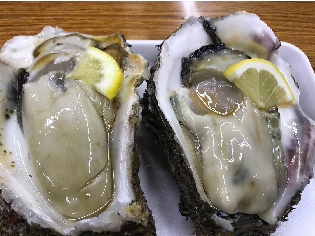 白濱一泊二食行程！溫泉 X 沙灘 X 自然美景！とれとれ市場