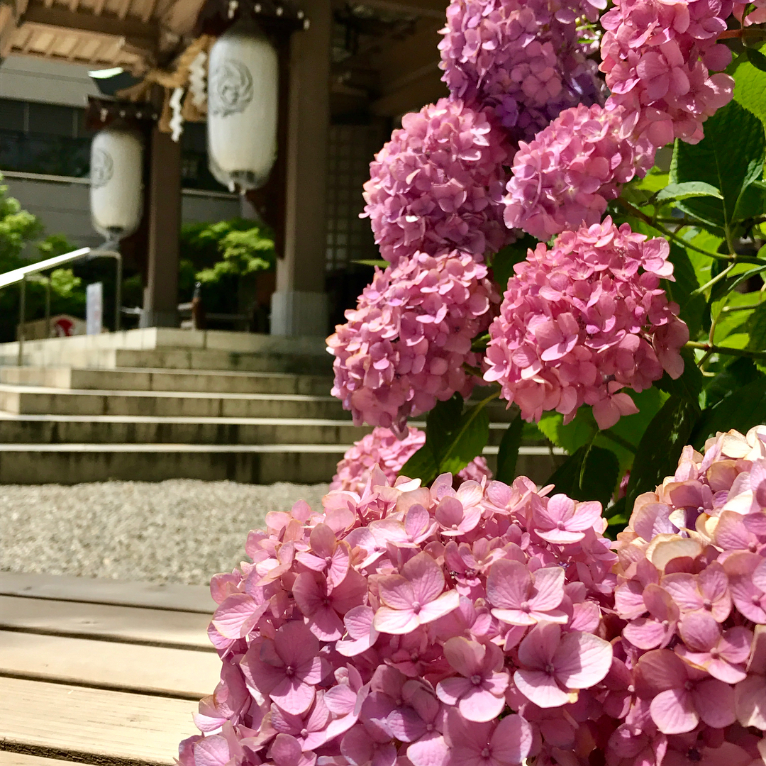 坐摩神社