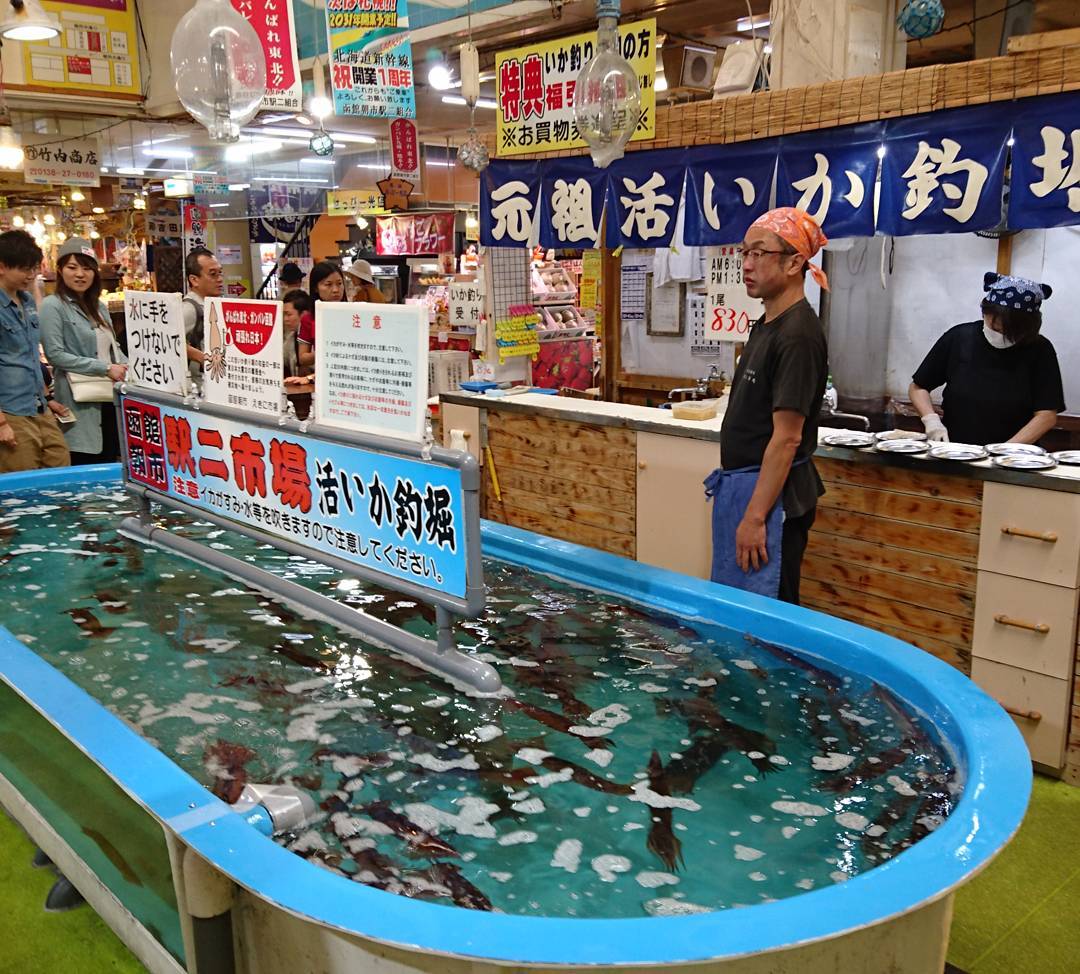 北海道必去！函館朝市美食地圖 元祖活魷魚釣堀