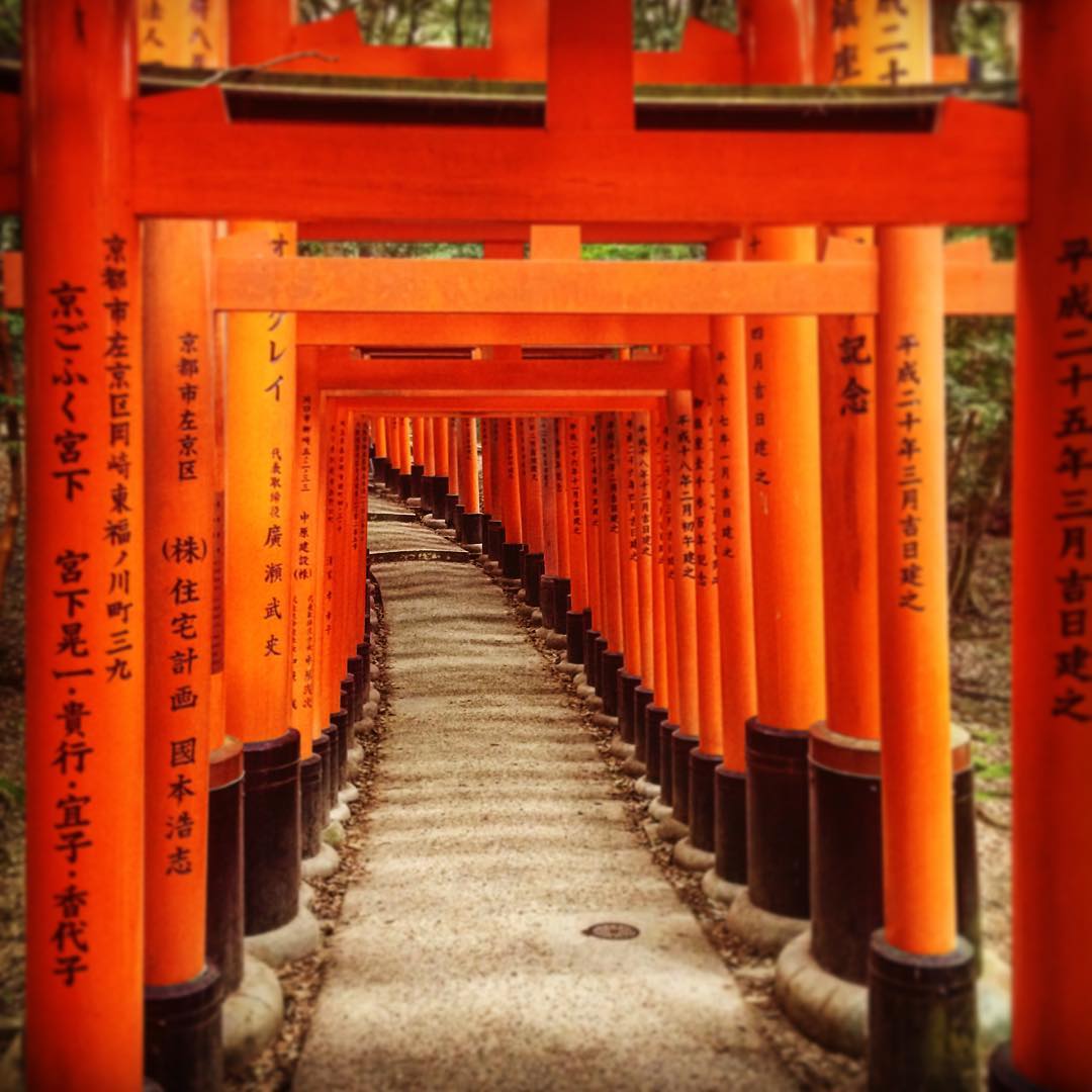 京都一日遊 伏見稻荷大社