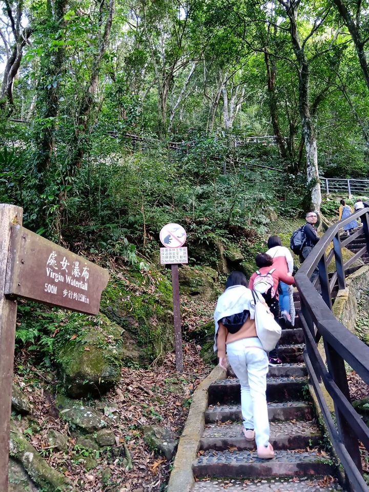 滿月圓森林遊樂區 台灣親子遊 台灣森林遊樂區 台灣森林 台灣親子好去處