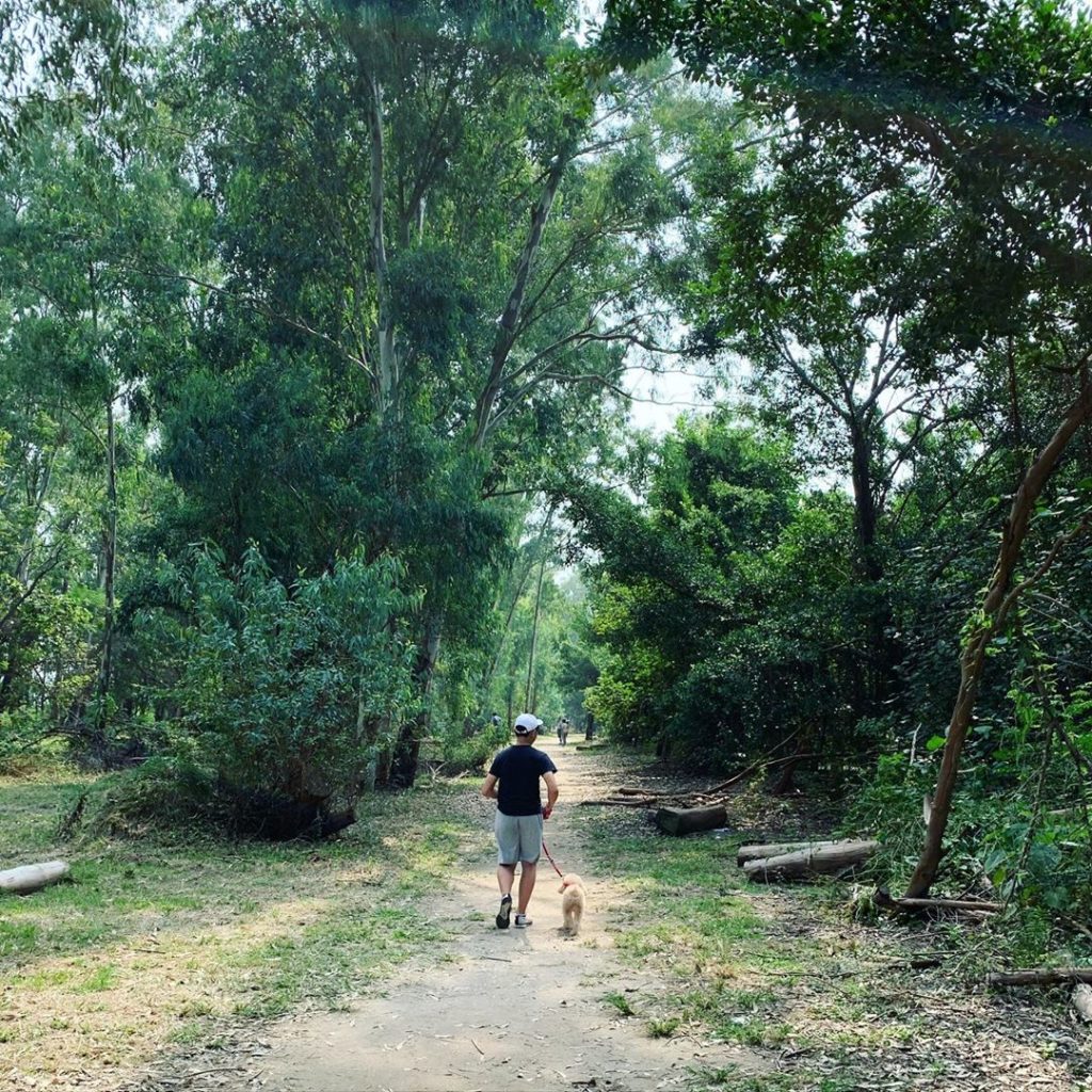 機場維修區 南生圍 深涌 香港好去處 野餐 草地 香港野餐 野餐好去處 香港野餐地點 香港草地 公園好去處 野餐地點 香港大草地 放風箏 放狗