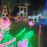 日本夜景遺産 東南植物楽園 ひかりの散歩道2019 東南植物楽園 ひかりの散歩道 東南植物樂園 光之散步道2019 東南植物樂園 光之散步道 沖繩冬天 2019 沖繩冬天 自由行 2019 沖繩冬天景點 2019 沖繩聖誕點燈 2019 沖繩聖誕亮燈 2019 沖繩聖誕燈飾 2019 沖繩燈飾 2019 沖繩聖誕 2019