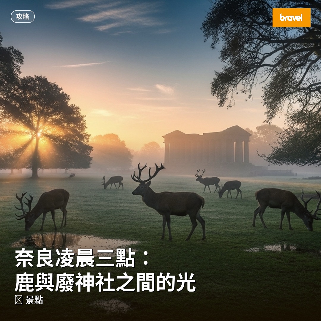 奈良凌晨三點:鹿與廢神社之間的光