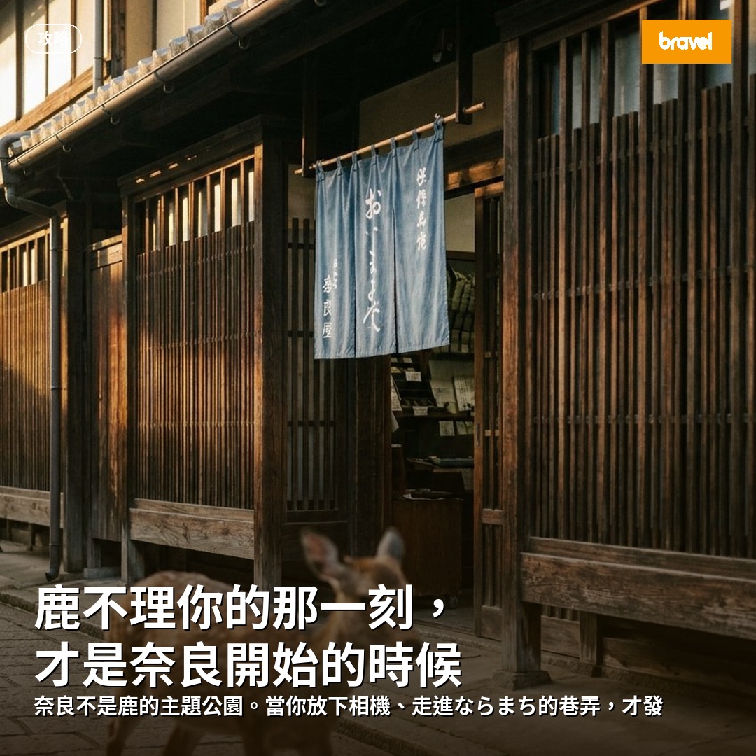 鹿不理你的那一刻,才是奈良開始的時候