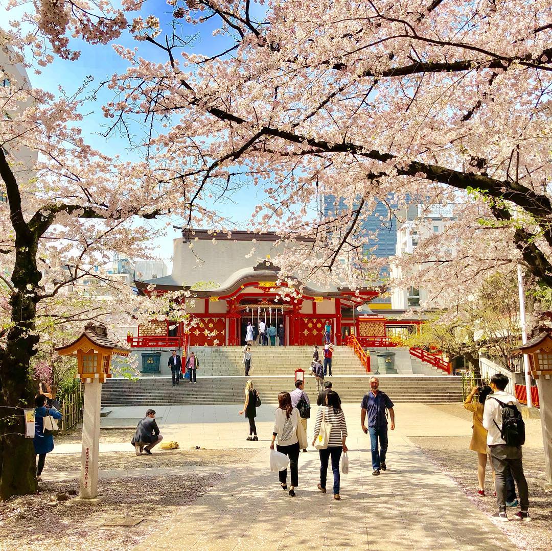 東京必去！新宿必去景點懶人包 花園神社