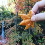 西江寺 一の橋 昆蟲館 瀧安寺 野口英世像 唐人戾橋 箕面站 箕面瀑布 箕面瀑布 大阪賞楓景點 大阪賞楓 景點 大阪紅葉景點 大阪紅葉 景點 大阪賞楓 大阪楓葉 大阪紅葉預測 大阪夜楓 大阪夜楓2019 大阪紅葉2019 大阪賞楓2019 大阪楓葉2019 大阪紅葉預測2019