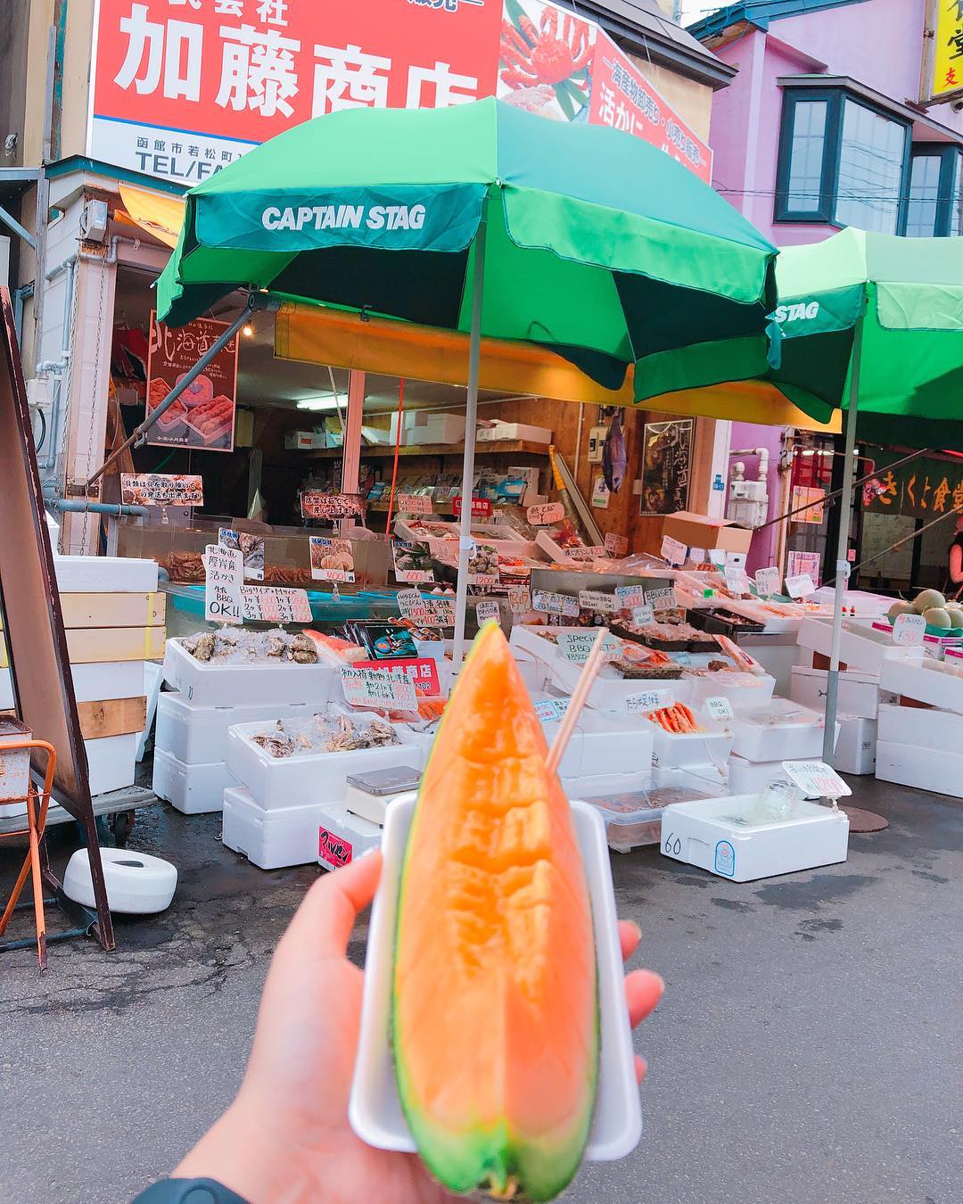 北海道必去！函館朝市美食地圖 北海道富良野蜜瓜
