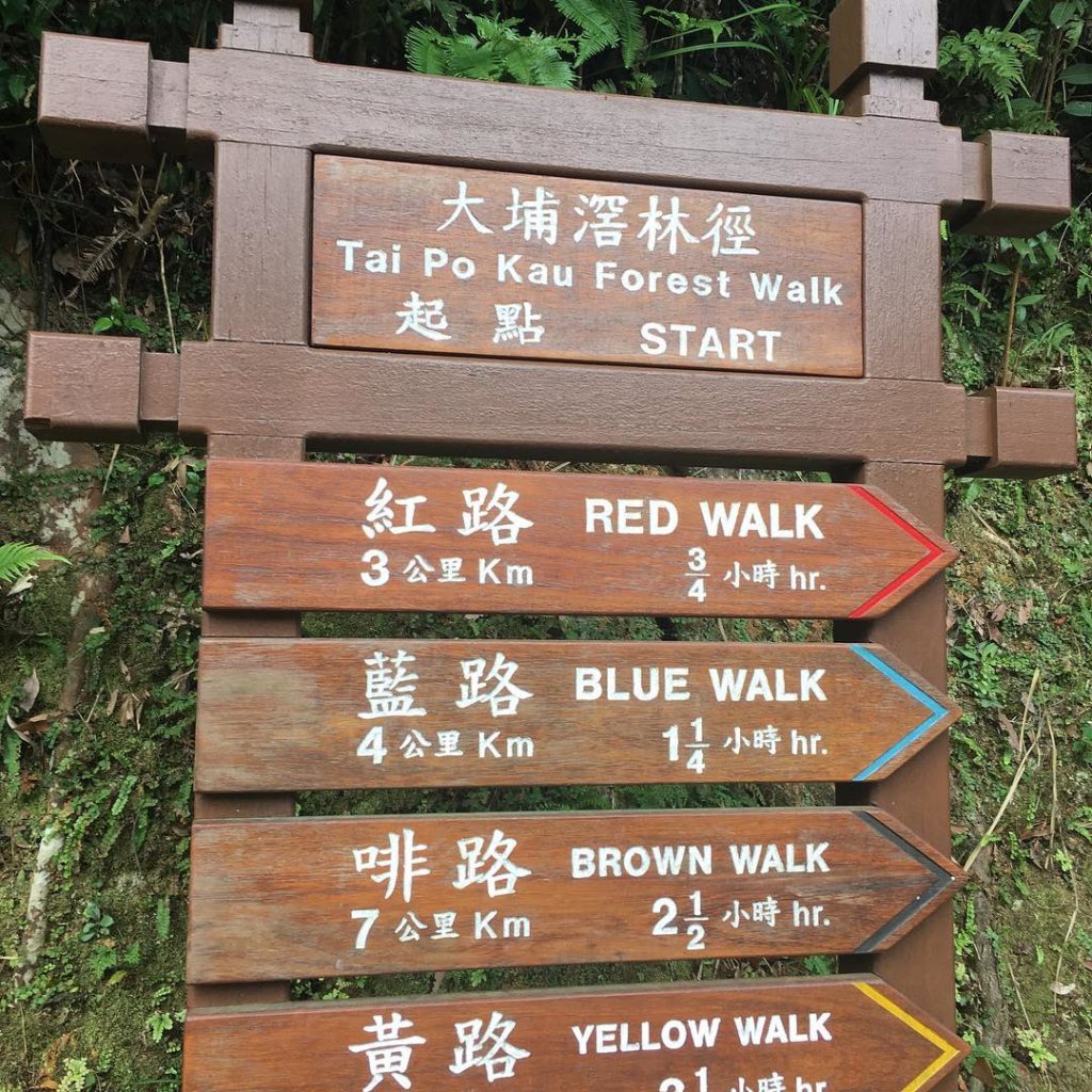 香港好去處 大埔滘松仔園四色林徑 大埔滘自然教育徑 香港行山 行山好去處 行山新手 新手行山路線 香港行山徑 大埔行山