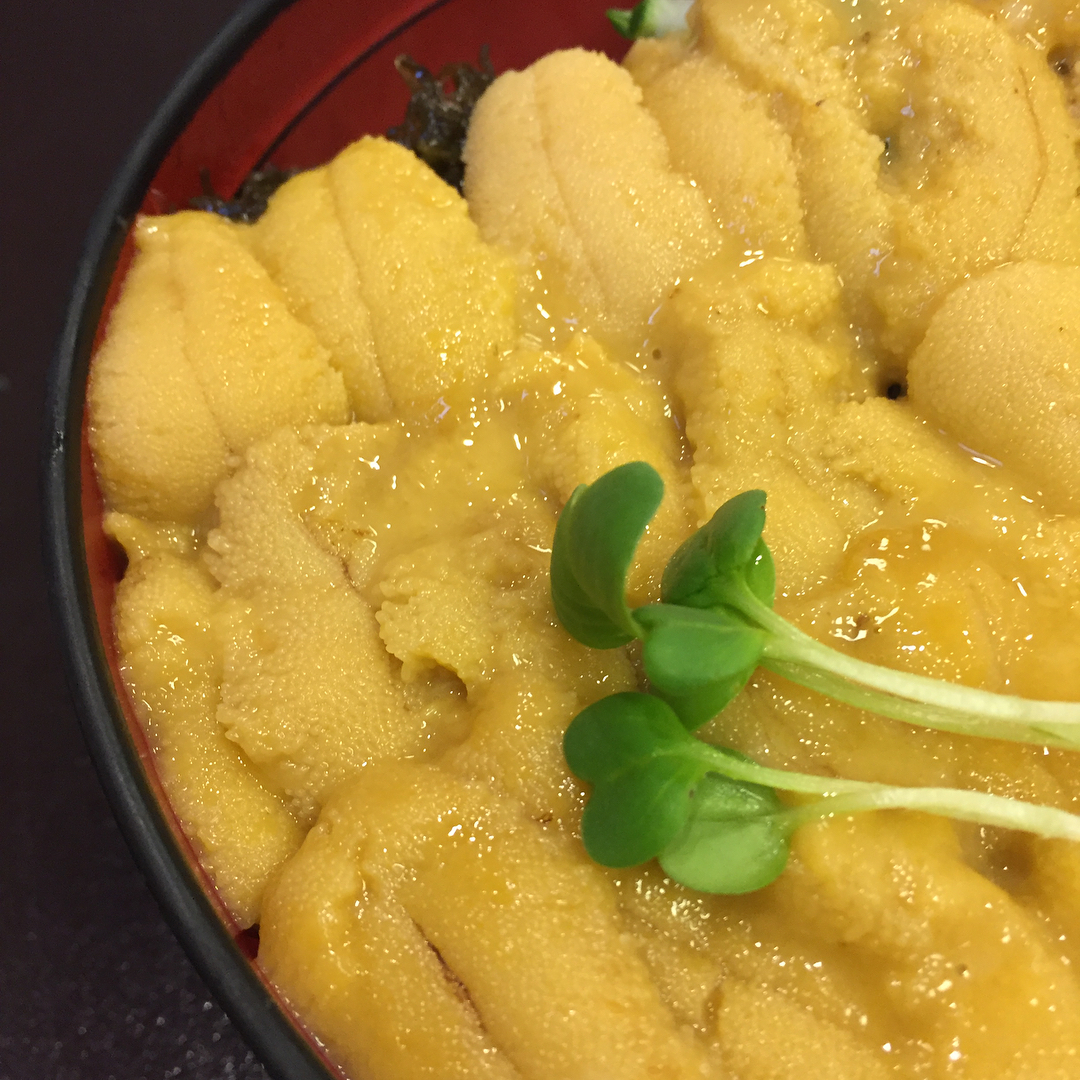 北海道必食！海膽丼十選(前篇)ふじ鮨 積丹本店