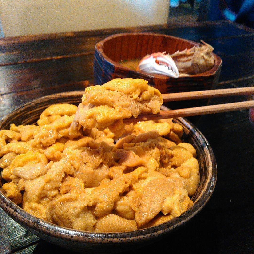 北海道必食！海膽丼十選(前篇)田村 岩太郎商店