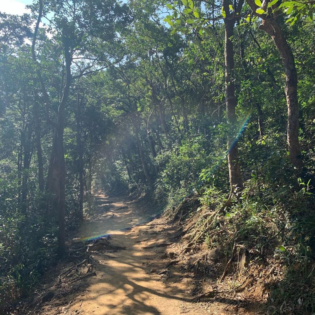 香港好去處 鷹巢山自然教育徑 獅子山 香港行山 行山好去處 行山新手 新手行山路線 香港行山徑 九龍行山