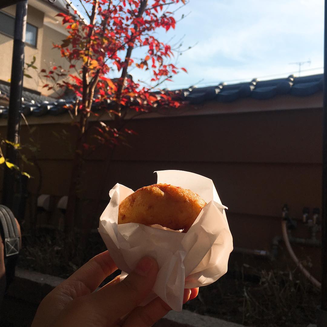嵐山美食推介：嵯峨とうふ　稲 豆腐冬甩