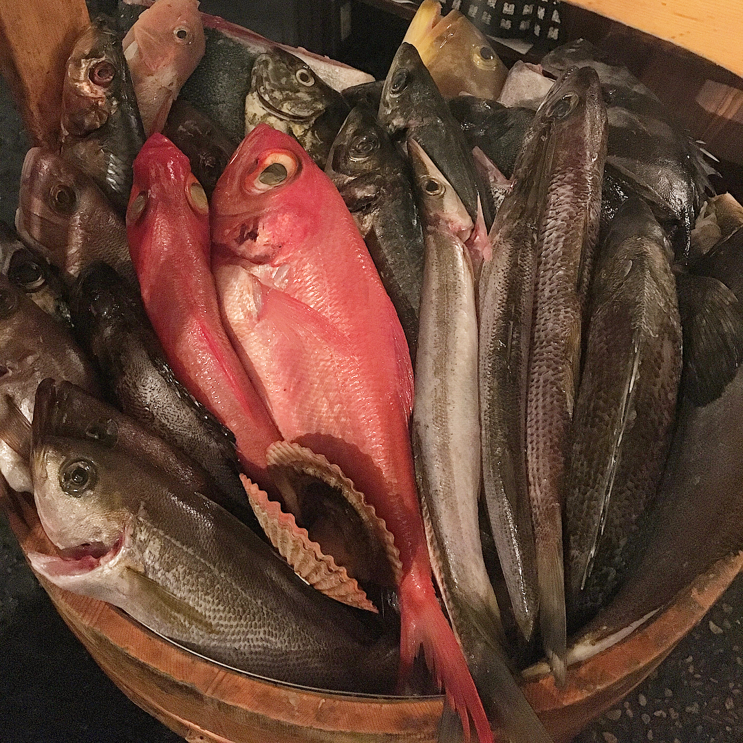 東京必食!新宿美食地圖 (海鮮篇)魚米