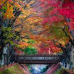 日本 Japan 日本必食 日本必吃 日本必到 日本必去 日本必買 日本必掃 日本自由行 日本行程 日本行程包 日本懶人包 日本好去處 日本景點 日本必到景點 日本必去景點 日本美食 日本交通 日本攻略 日本自由行行程 日本自由行行程推薦 日本酒店 日本飯店 日本酒店推薦 日本飯店推薦 日本必住酒店 日本必住飯店 日本必食2019 日本必吃2019 日本必到2019 日本必去2019 日本必買2019 日本必掃2019 日本自由行2019 日本行程2019 日本行程包2019 日本懶人包2019 日本好去處2019 日本景點2019 日本必到景點2019 日本必去景點2019 日本美食2019 日本交通2019 日本攻略2019 日本自由行行程2019 日本自由行行程推薦2019 日本酒店2019 日本飯店2019 日本酒店推薦2019 日本飯店推薦2019 日本必住酒店2019 日本必住飯店2019 紅葉2019 楓葉2019 日本紅葉 日本楓葉 日本紅葉2019 日本楓葉2019 日本賞楓 日本賞楓2019 東京紅葉 東京楓葉 東京紅葉2019 東京楓葉2019 東京賞楓 東京賞楓2019 東京 Tokyo 東京必食 東京必吃 東京必到 東京必去 東京必買 東京必掃 東京自由行 東京行程 東京行程包 東京懶人包 東京好去處 東京景點 東京必到景點 東京必去景點 東京美食 東京交通 東京攻略 東京自由行行程 東京自由行行程推薦 東京酒店 東京飯店 東京酒店推薦 東京飯店推薦 東京必住酒店 東京必住飯店 東京必食2019 東京必吃2019 東京必到2019 東京必去2019 東京必買2019 東京必掃2019 東京自由行2019 東京行程2019 東京行程包2019 東京懶人包2019 東京好去處2019 東京景點2019 東京必到景點2019 東京必去景點2019 東京美食2019 東京交通2019 東京攻略2019 東京自由行行程2019 東京自由行行程推薦2019 東京酒店2019 東京飯店2019 東京酒店推薦2019 東京飯店推薦2019 東京必住酒店2019 東京必住飯店2019 河口湖 河口湖紅葉 河口湖楓葉 河口湖紅葉2019 河口湖楓葉2019 河口湖紅葉祭 河口湖紅葉隧道