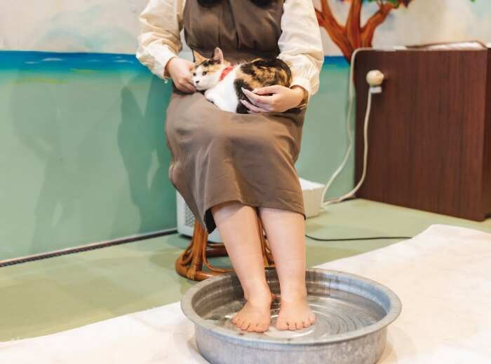足湯療法