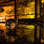 瑠璃光院 紅葉 2019 瑠璃光院 秋の拝観 瑠璃光院 2019年秋の拝観 瑠璃光院 秋季特別參拜 京都紅葉 2019 京都紅葉2019 京都必去 2019 京都景點 2019 京都必看 2019 京都好去處 2019 京都 景點 京都秋天 京都秋季 京都神社 京都祭典 2019