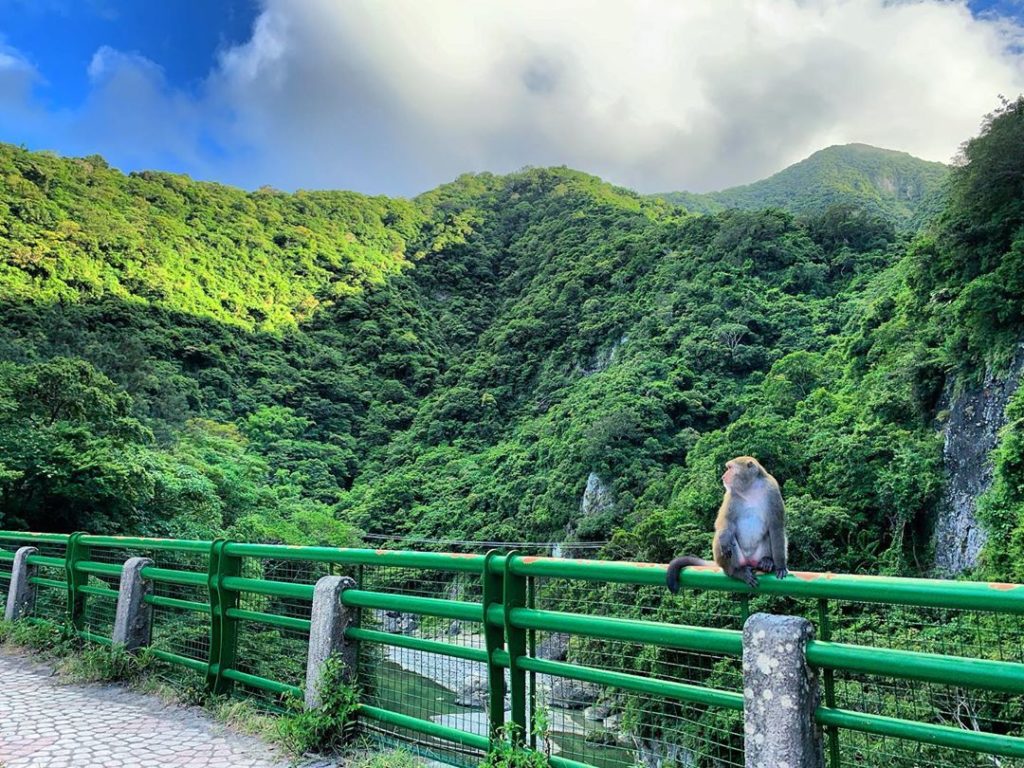台東 台灣 台東景點 台東必去 台東必到 台灣好行 台東一日遊 台東打卡 三仙台 都歷海灘 天空之鏡 加路蘭風景區 加路蘭 泰源幽谷 小野柳 台灣好行東部海岸線 東部海岸線