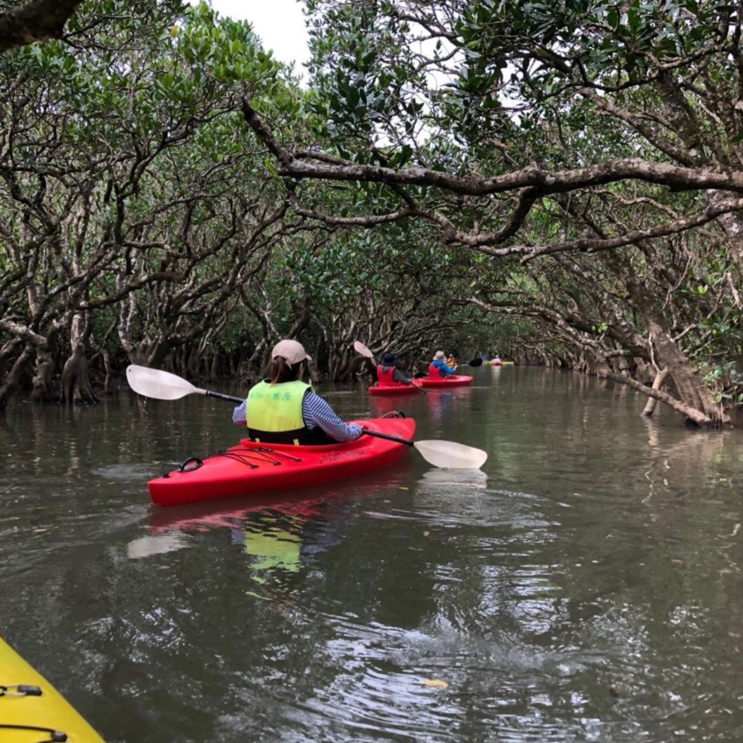 黑潮之森紅樹林公園(Kuroshio no Mori Mangrove Park) 獨木舟 奄美大島 景點 鹿兒島 九州離島　九州自由行 mapcode 地址