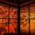瑠璃光院 紅葉 2019 瑠璃光院 秋の拝観 瑠璃光院 2019年秋の拝観 瑠璃光院 秋季特別參拜 京都紅葉 2019 京都紅葉2019 京都必去 2019 京都景點 2019 京都必看 2019 京都好去處 2019 京都 景點 京都秋天 京都秋季 京都神社 京都祭典 2019