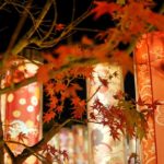 野宮神社 大河內山莊園 竹林小徑 山麓水邊 渡月橋 落柿舍 常寂光寺 野宮神社 宝厳院 法輪寺 天龍寺法堂 天龍寺 法堂 嵐山燈飾 2019 京嵐山聖誕燈飾 2019 嵐山聖誕點燈 2019 嵐山冬日點燈 2019 京都燈飾 2019 京都聖誕燈飾 2019 京都聖誕點燈 2019 京都冬日點燈 2019 京都花燈 2019 京都 花燈 2019 京都必去 京都景點 京都・嵐山花燈路 地圖 京都 嵐山 花燈路 2019 京都花燈路 2019 京都 花燈路 2019