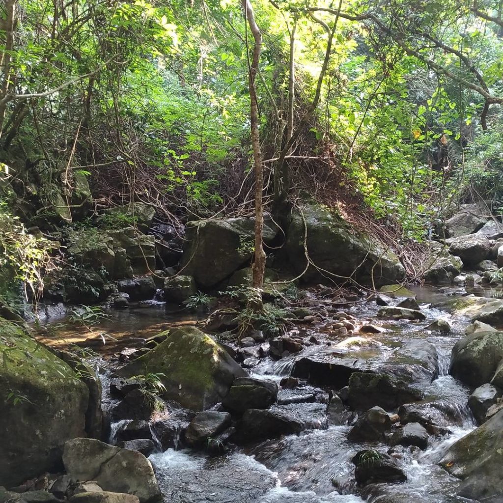 香港好去處 大埔滘松仔園四色林徑 大埔滘自然教育徑 香港行山 行山好去處 行山新手 新手行山路線 香港行山徑 大埔行山