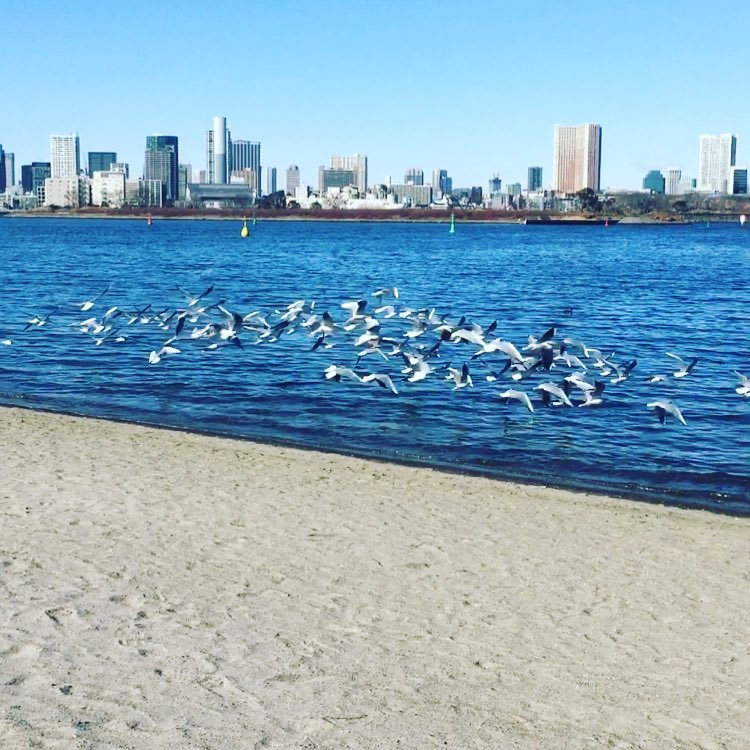 御台場海濱公園 自由女神像