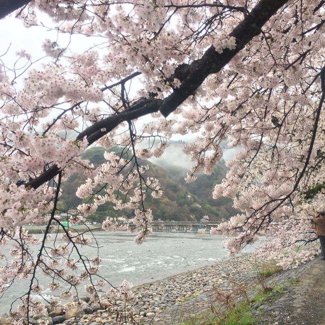京都 嵐山 渡月橋