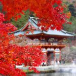 勝尾寺 秋之夜晚 勝尾寺紅葉 勝尾寺 紅葉 勝尾寺夜楓 大阪 夜間紅葉 大阪賞楓景點 大阪賞楓 景點 大阪紅葉景點 大阪紅葉 景點 大阪賞楓 大阪楓葉 大阪紅葉預測 大阪夜楓 大阪夜楓2019 大阪紅葉2019 大阪賞楓2019 大阪楓葉2019 大阪紅葉預測2019