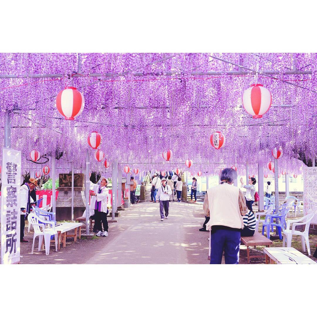 九州 景點