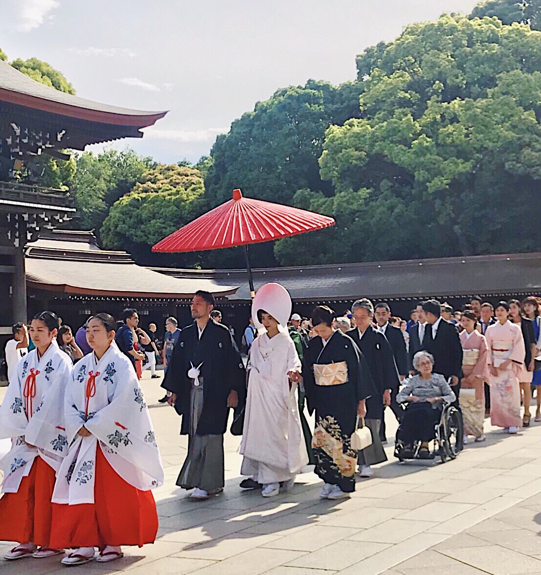 東京自由行！原宿必去景點懶人包！明治神宫