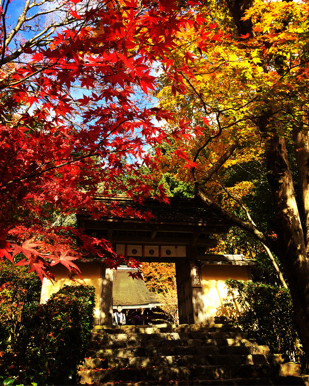 京都大原景點 大原寂光院 Jakko-In 京都紅葉名所
