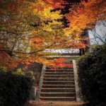 南禪寺‧永觀堂道站 蹴上站 南禪寺 南禪寺紅葉 日本庭園 紅葉 南禪寺 紅葉 京都紅葉2019 京都楓葉2019 京都紅葉景點2019 京都紅葉 景點2019 京都賞楓2019 京都賞楓 景點2019 京都賞楓景點2019 京都夜楓2019 京都夜楓景點2019 京都紅葉 京都楓葉 京都紅葉景點 京都紅葉 景點 京都賞楓 京都賞楓 景點 京都賞楓景點 京都夜楓 京都夜楓景點