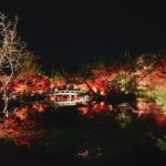 紅葉的永觀堂 蹴上站 紅葉の永観堂 永観堂の紅葉 永観堂 紅葉 永觀堂 紅葉 永觀堂紅葉 京都紅葉2019 京都楓葉2019 京都紅葉景點2019 京都紅葉 景點2019 京都賞楓2019 京都賞楓 景點2019 京都賞楓景點2019 京都夜楓2019 京都夜楓景點2019 京都紅葉 京都楓葉 京都紅葉景點 京都紅葉 景點 京都賞楓 京都賞楓 景點 京都賞楓景點 京都夜楓 京都夜楓景點