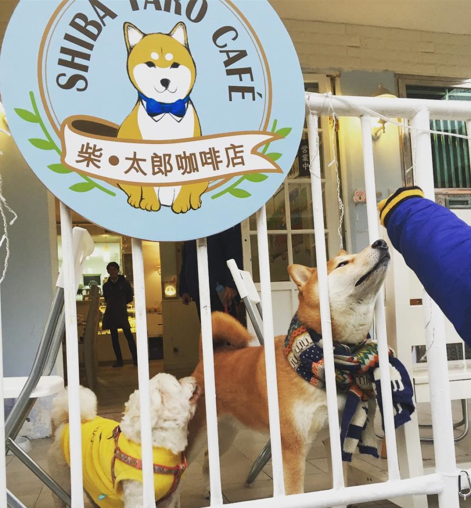 西貢一日遊 西貢好去處 西貢 打卡 西貢 美食 西貢 環島遊
西貢柴太郎咖啡店