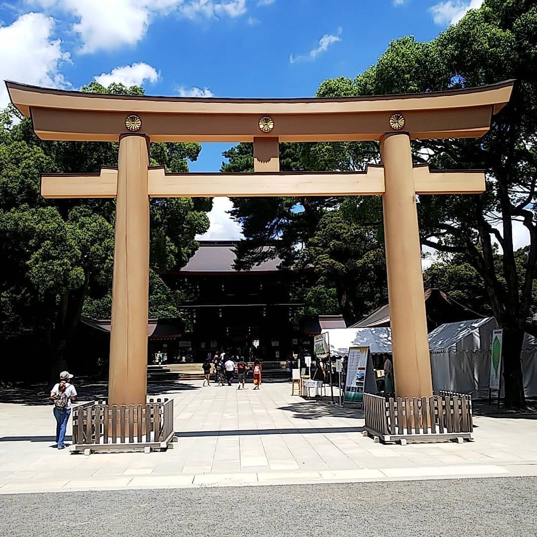 東京自由行！原宿必去景點懶人包！明治神宫