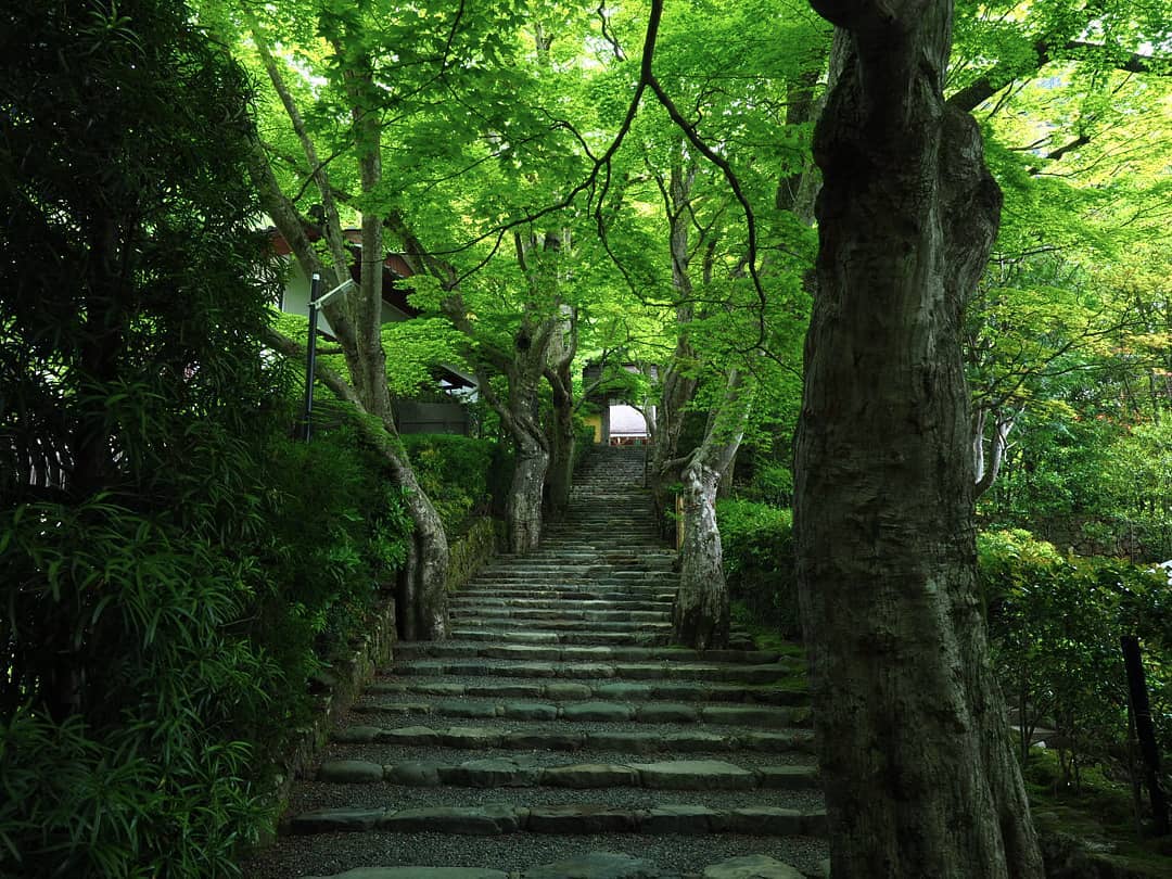 京都大原景點 大原寂光院 Jakko-In