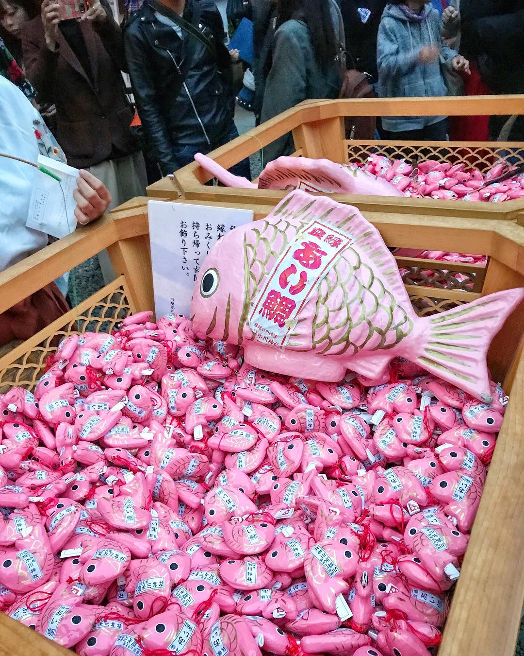 東京行程