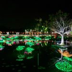 日本夜景遺産 東南植物楽園 ひかりの散歩道2019 東南植物楽園 ひかりの散歩道 東南植物樂園 光之散步道2019 東南植物樂園 光之散步道 沖繩冬天 2019 沖繩冬天 自由行 2019 沖繩冬天景點 2019 沖繩聖誕點燈 2019 沖繩聖誕亮燈 2019 沖繩聖誕燈飾 2019 沖繩燈飾 2019 沖繩聖誕 2019