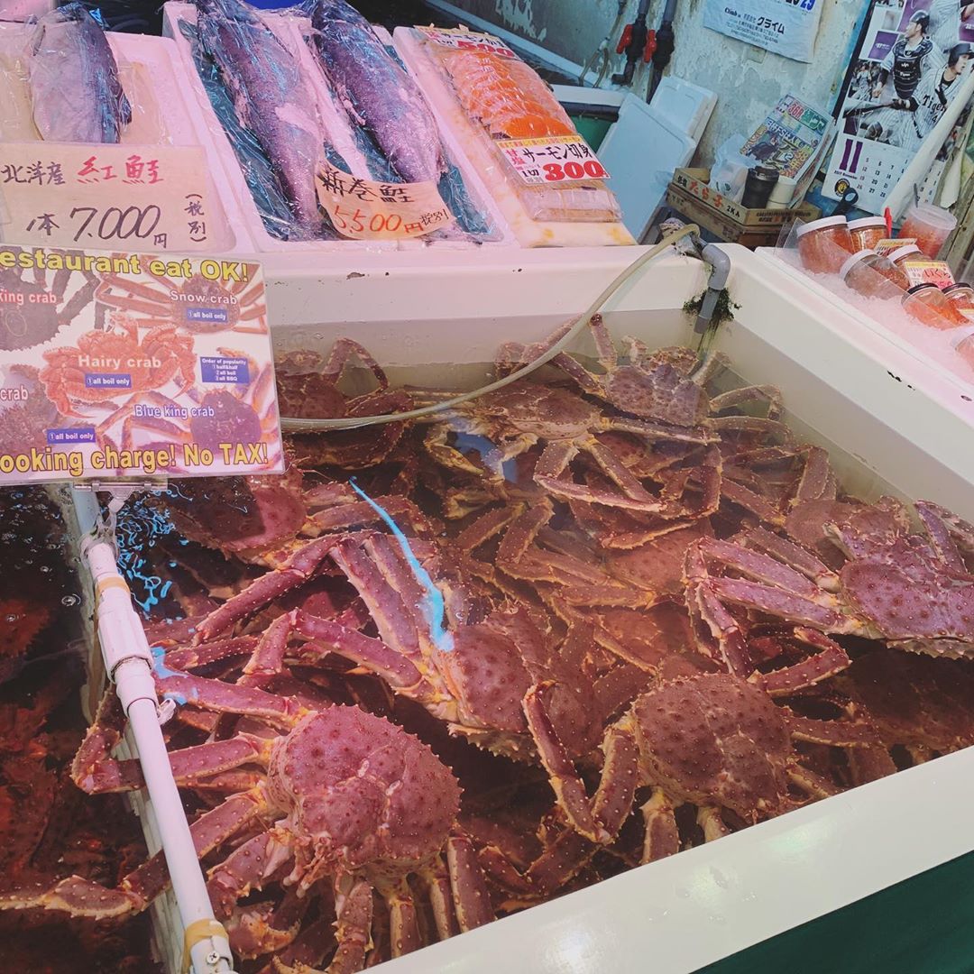 【北海道一天行程】小樽 三角市場