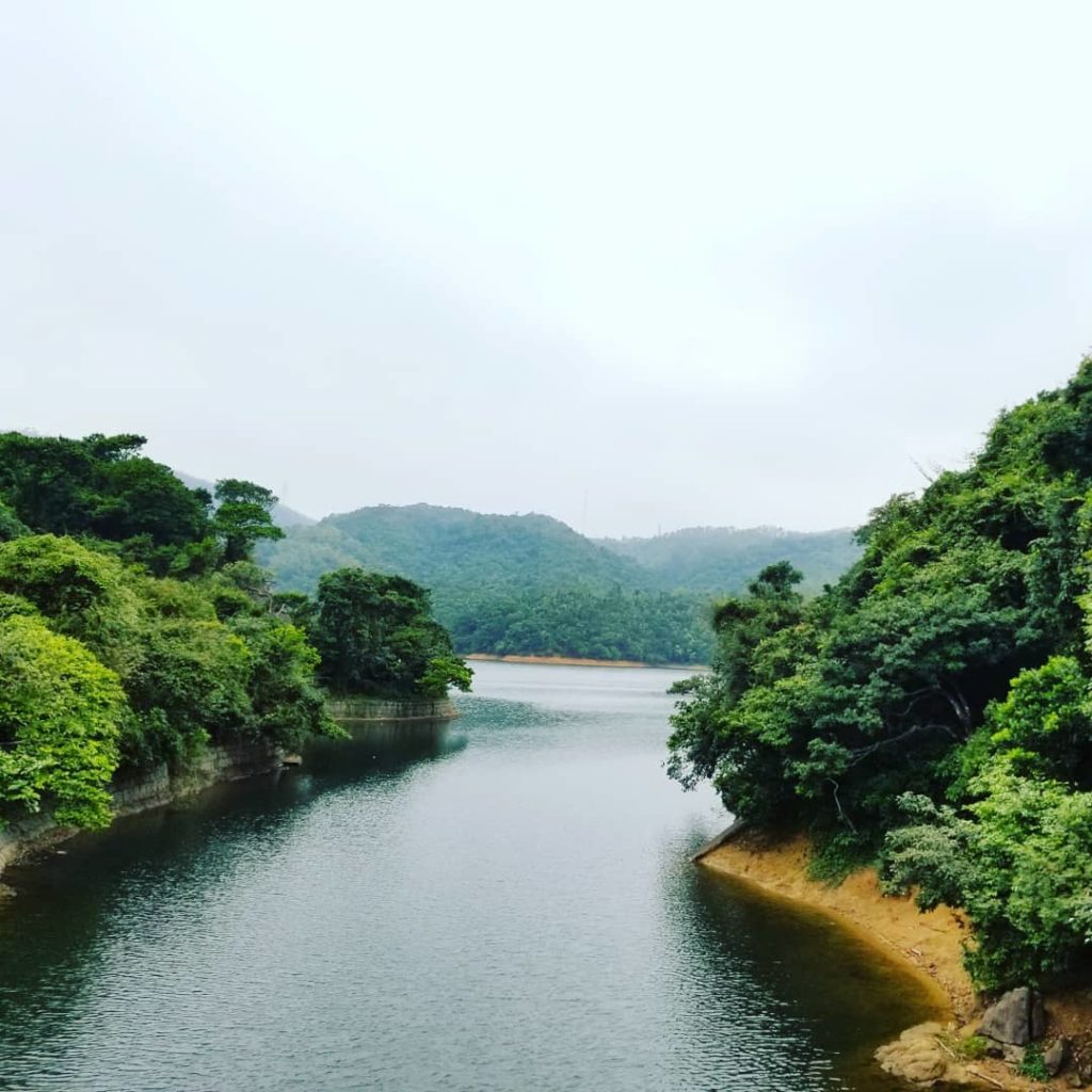 香港好去處 香港行山 行山好去處 行山新手 新手行山路線 香港行山徑 簡單行山路線 龍脊 港島徑 第八段 港島行山 菠蘿壩自然教育徑