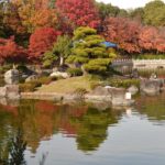 百舌鳥 大仙公園 百舌鳥站 紅葉の宴 大阪 夜間紅葉 大阪賞楓景點 大阪賞楓 景點 大阪紅葉景點 大阪紅葉 景點 大阪賞楓 大阪楓葉 大阪紅葉預測 大阪夜楓 大阪夜楓2019 大阪紅葉2019 大阪賞楓2019 大阪楓葉2019 大阪紅葉預測2019