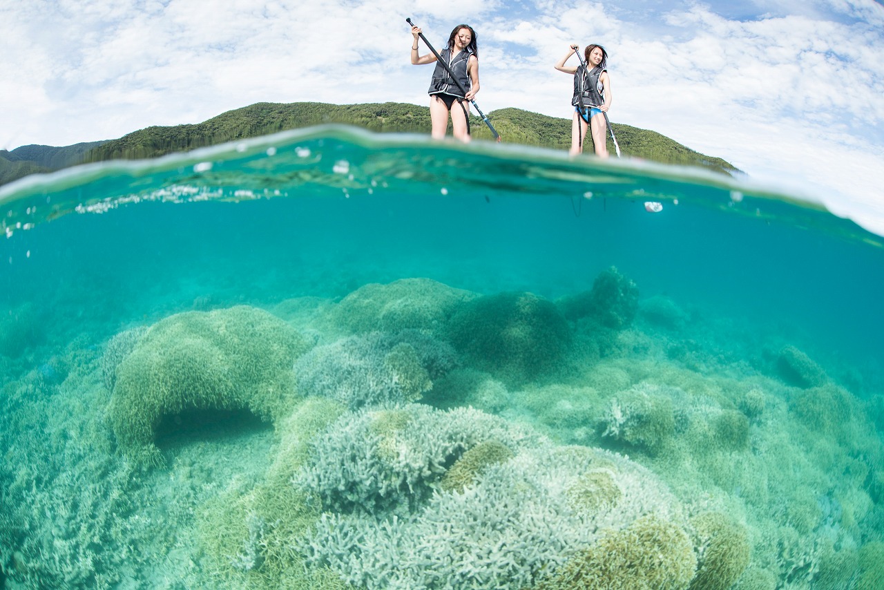 SUP 立式划槳 奄美大島 水上活動 鹿兒島 九州離島　九州自由行