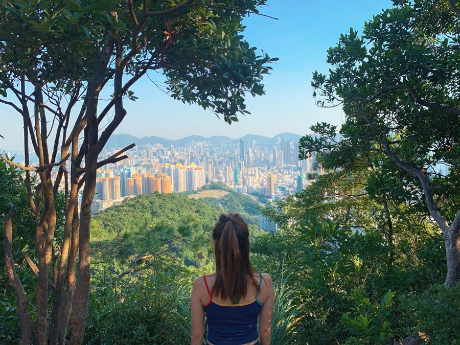 香港好去處 鷹巢山自然教育徑 獅子山 香港行山 行山好去處 行山新手 新手行山路線 香港行山徑 九龍行山