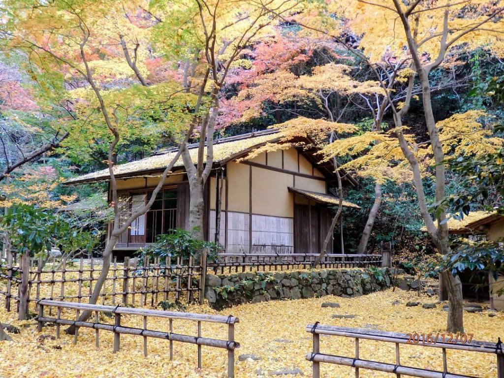 橫濱親子景點 橫濱親子遊 橫濱一日遊 橫濱行程 橫濱必去 橫濱景點 三溪園 紅葉