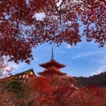 清水道站 五条坂站 清水寺紅葉 紅葉 清水寺 紅葉 京都紅葉2019 京都楓葉2019 京都紅葉景點2019 京都紅葉 景點2019 京都賞楓2019 京都賞楓 景點2019 京都賞楓景點2019 京都夜楓2019 京都夜楓景點2019 京都紅葉 京都楓葉 京都紅葉景點 京都紅葉 景點 京都賞楓 京都賞楓 景點 京都賞楓景點 京都夜楓 京都夜楓景點