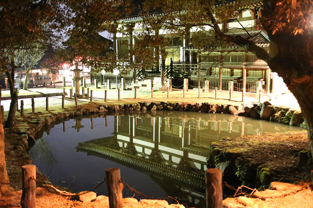 京阪自由行！奈良必去行程懶人包(景點篇) - 東大寺
