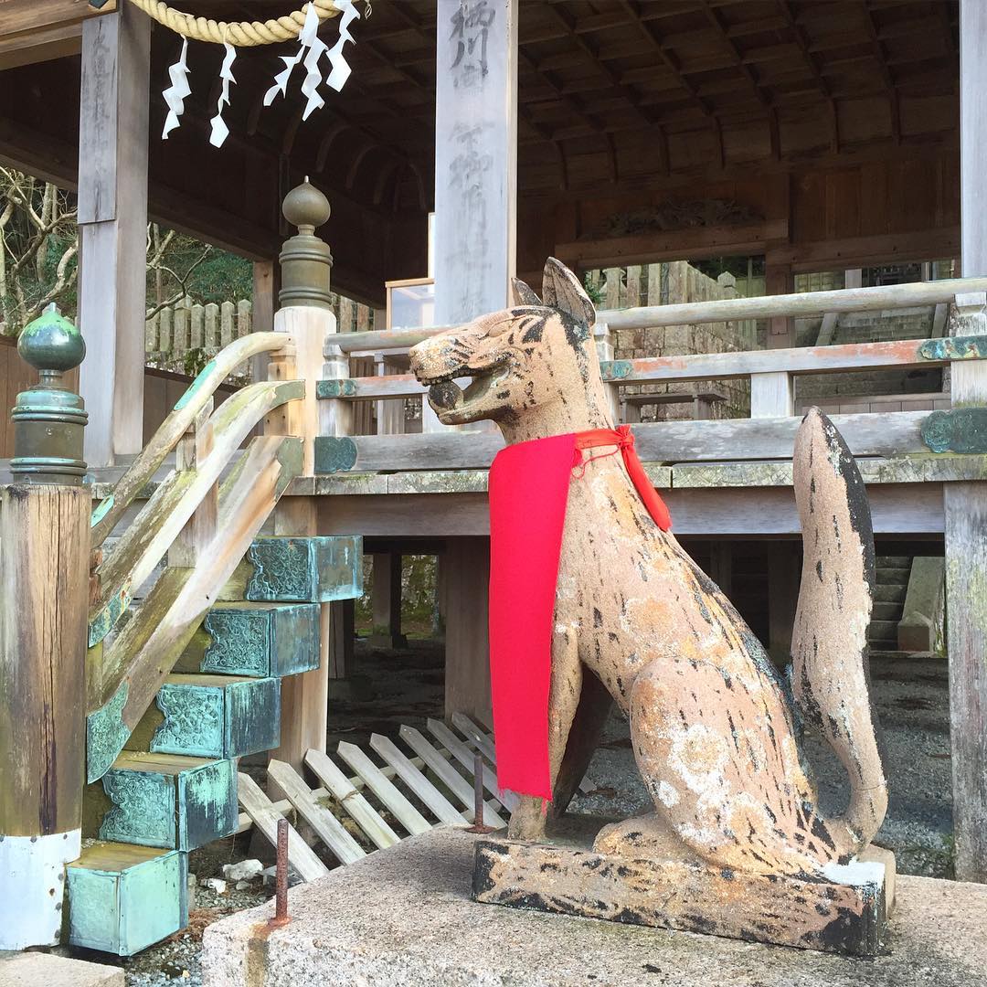 有馬稻荷神社的守護神-狐狸|有馬溫泉有馬稻荷神社 有馬溫泉一泊二食行程 有馬溫泉必去景點懶人包